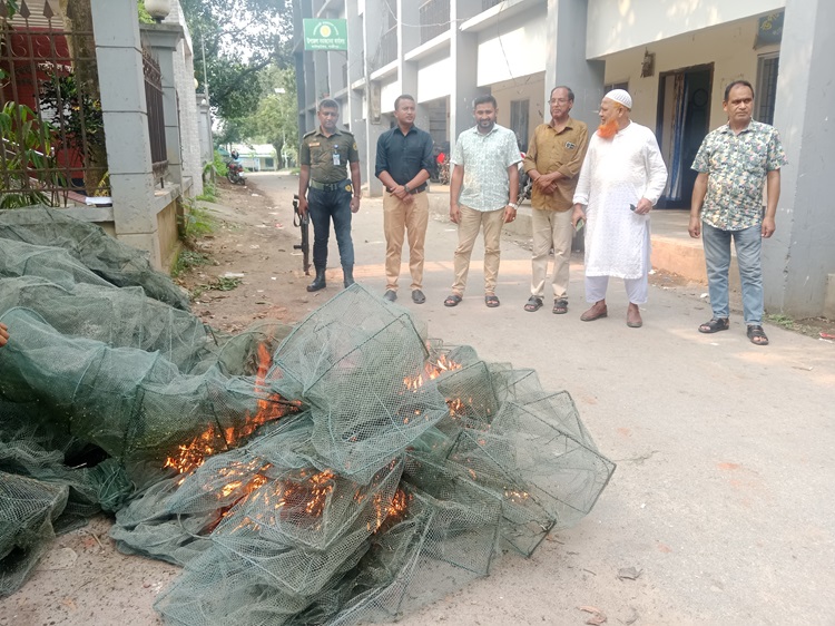 কালিয়াকৈরে অবৈধ কারেন্ট জাল জব্দের পর বিনষ্ট