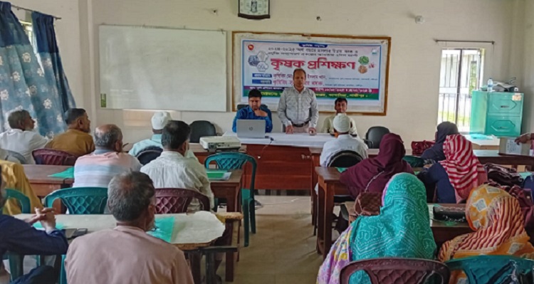 কাপাসিয়ায় মশলার উন্নত জাত ও প্রযুক্তি সম্প্রসারণে প্রশিক্ষণ