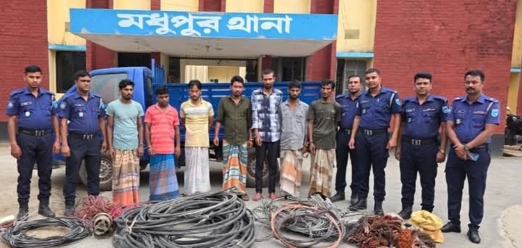 বিএনপি নেতার কারখানায় ডাকাতি, আটক ৯ 