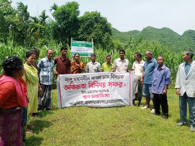 কলমাকান্দায় বালু সহনশীল ফসল চাষ বিষয়ক অভিজ্ঞতা বিনিময় সফর                                                                                                                      