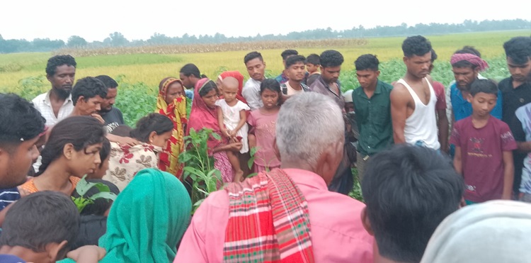 পাটক্ষেতে নারীর বিবস্ত্র লাশ, পোড়ানো হয়েছে চেহারাও