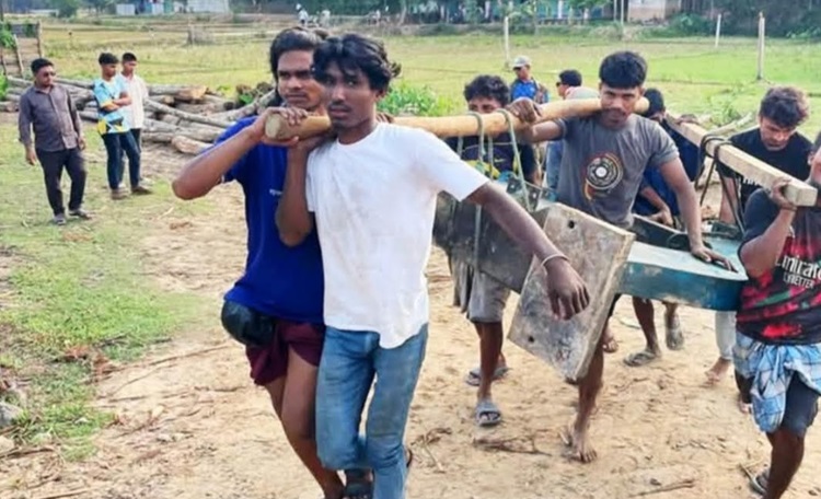 উখিয়ায় যৌথ অভিযানে ৪ টি স মিল সহ বিপুল পরিমাণ কাঠ  জব্দ