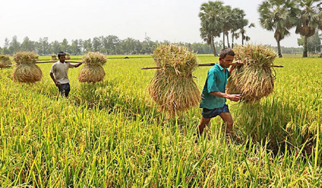 কৃষিভিত্তিক খাতে কর অব্যাহতি প্রত্যাহারের পরিকল্পনা 