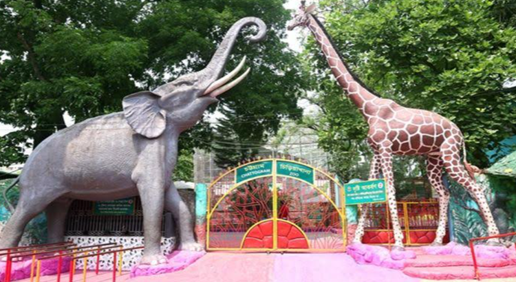 চট্টগ্রাম চিড়িয়াখানার ছাদ ও দেয়াল ধস, আহত ৫
