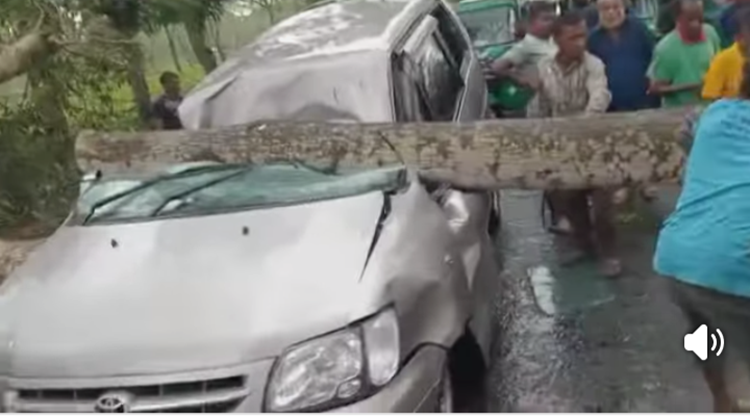 চুনারুঘাটে ঝড়ে ব্যাপক ক্ষয়ক্ষতি, বজ্রপাতে কৃষকের মৃত্যু 
