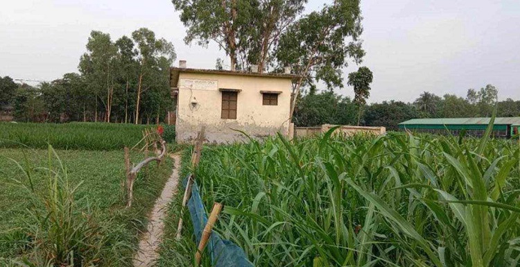 ভাঙ্গুড়ায় কমিউনিটি ক্লিনিক প্রতিষ্ঠার একযুগেও হয়নি সংযোগ সড়ক নির্মাণ