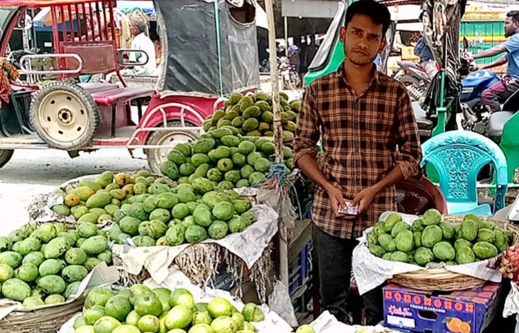 মেহেরপুরে গাংনীতে আমের বাজার চাঙ্গা