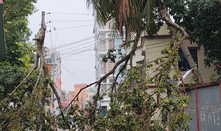 গাংনীতে ঝড়ে বিধ্বস্ত শতাধিক বাড়িঘর, আহত ২০