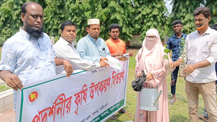 সালথায় সবজি বীজ ও ফলের চারা বিতরণ