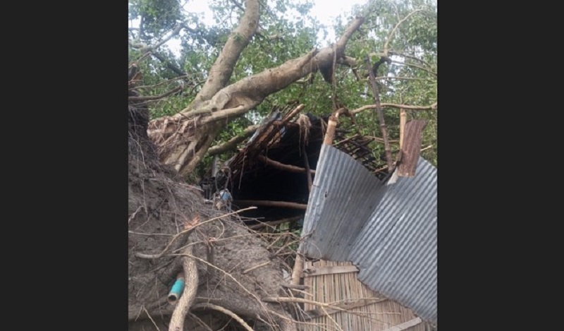 গোবিন্দগঞ্জে কালবৈশাখীতে গাছ চাপায় নারীর মৃত্যু