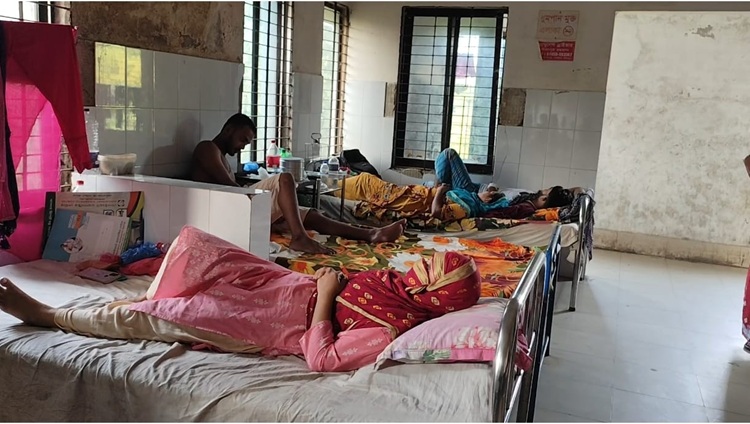 গোসাইরহাটে অন্তঃসত্বা নারীকে পিটিয়ে আহত