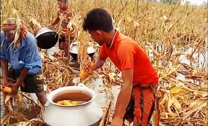 ফুলবাড়ীতে জ্যৈষ্ঠের অবিরাম বর্ষণ