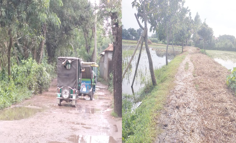 বাজিতপুর ও কুলিয়ারচর আঞ্চলিক রাস্তার বেহাল অবস্থা