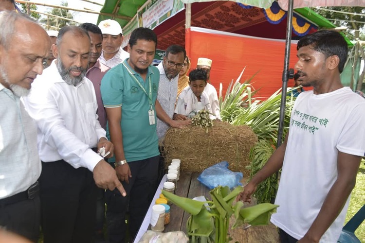 পরিবার থেকেই পুষ্টি সচেতনতা শুরু হোক: পবিপ্রবি ভিসি