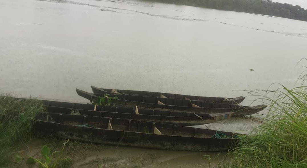 হাটহাজারীতে বৃষ্টি হলেই নমুনা ডিম ছাড়ার সম্ভাবনা মা মাছের