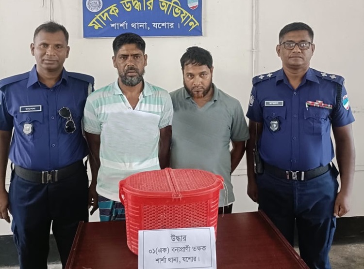 শার্শায় বন্যপ্রাণী তক্ষকসহ ২ পাচারকারী আটক
