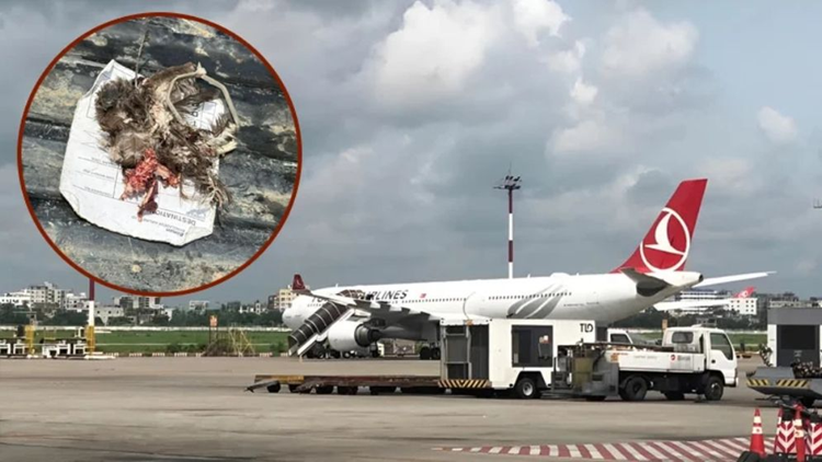 শাহজালালে বার্ড হিট : বিমানে আগুন,  অল্পের জন্য রক্ষা ২৯১ যাত্রী