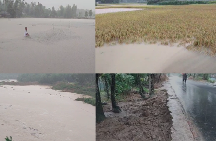 শেরপুরে ভারী বৃষ্টি ও উজানের ঢলে বন্যার আশঙ্কা