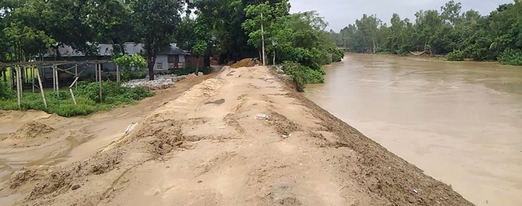 ঝিনাইগাতীতে বাড়ছে বন্যার পানি 