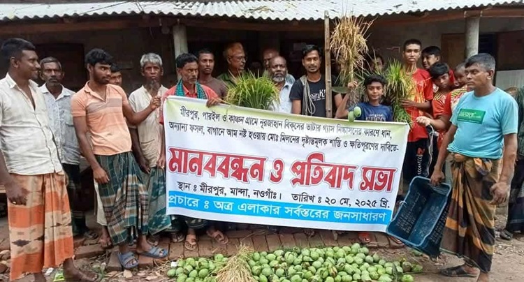 মান্দায় ইটভাটার ধোঁয়ায় ফসল নষ্ট, ক্ষতিপূরণের দাবিতে মানববন্ধন
