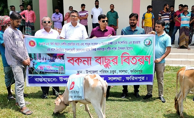 সালথায় জেলেদের মাঝে বকনা বাছুর বিতরণ