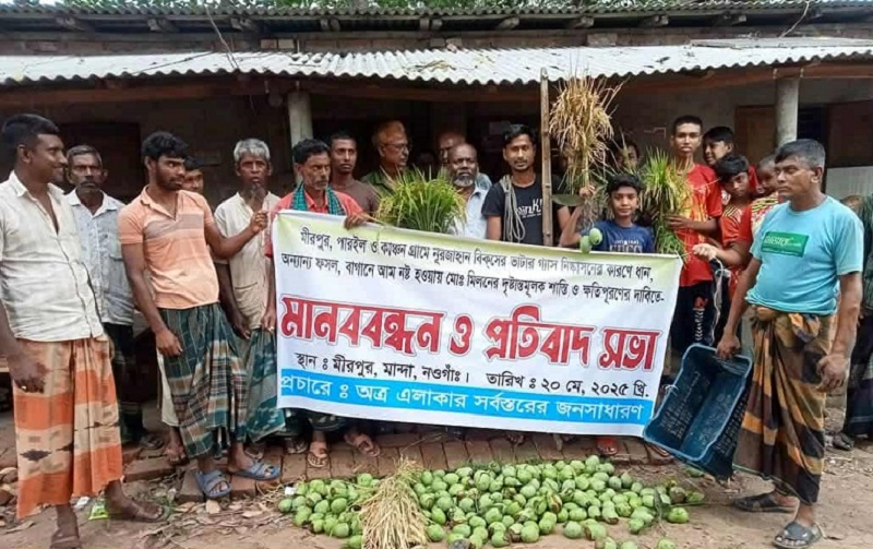 মান্দায় ভাটার বিষাক্ত ধোঁয়ায় ফসল নষ্ট
