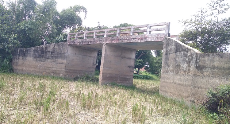 সড়কহীন সেতু! ৩১ লাখ টাকা জলে, ৮ বছরেও শেষ হয়নি দুর্ভোগ