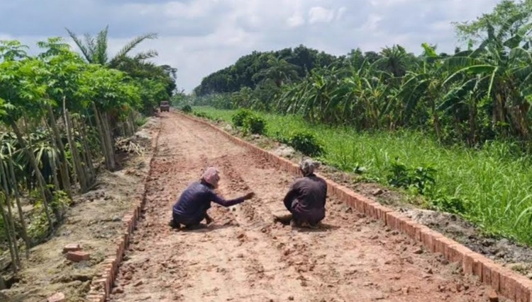 রাতের আঁধারে নিম্নমানের ইটে চলছে সড়কের কাজ