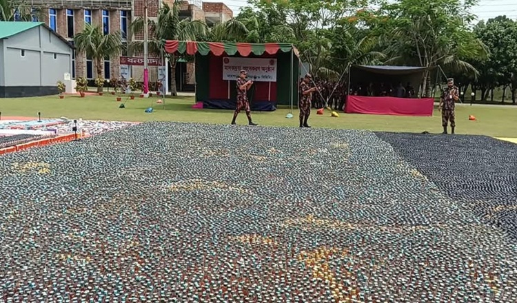 বিপুল পরিমাণ  ভারতীয় মাদকদ্রব্য ধ্বংস করল বিজিবি