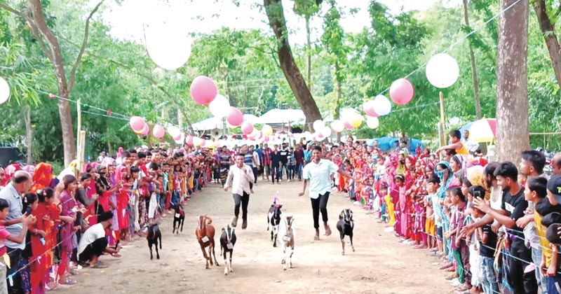 ছাগলের দৌড় দেখতে হাজারো মানুষের ভিড়