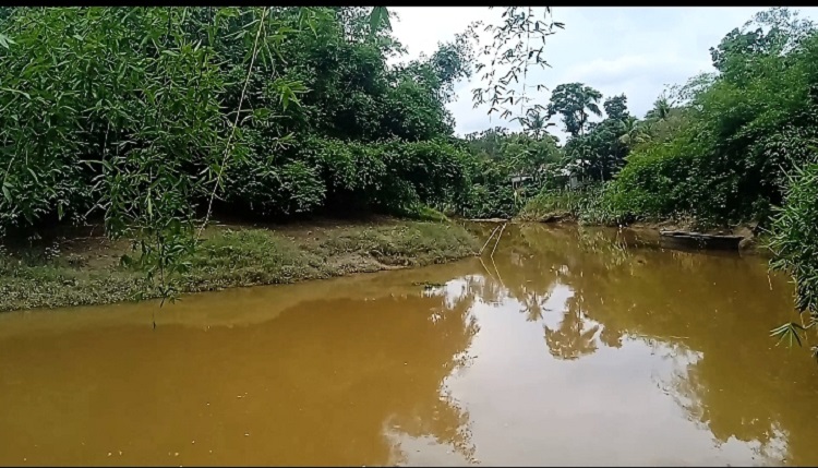 কসবা সীমান্তে বিএসএফের গুলিতে দুই জন আহত 