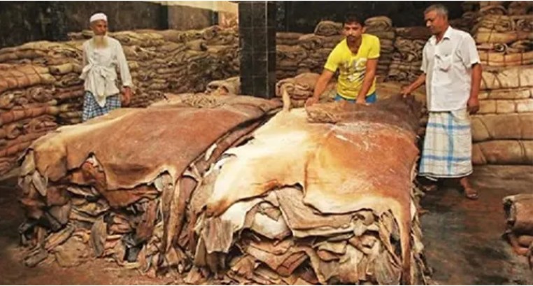 কোরবানির পশুর চামড়ার নতুন দাম নির্ধারণ 