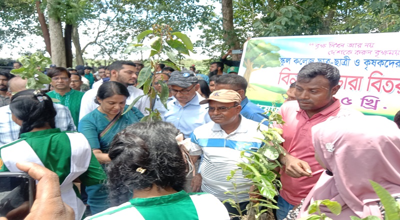 শালবনে আবার শাল গাছ ফেরত আনা হবে: উপদেষ্টা রিজওয়ানা