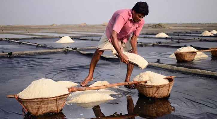 দেশে লবণ উৎপাদন ২২.৫৫ লাখ টন