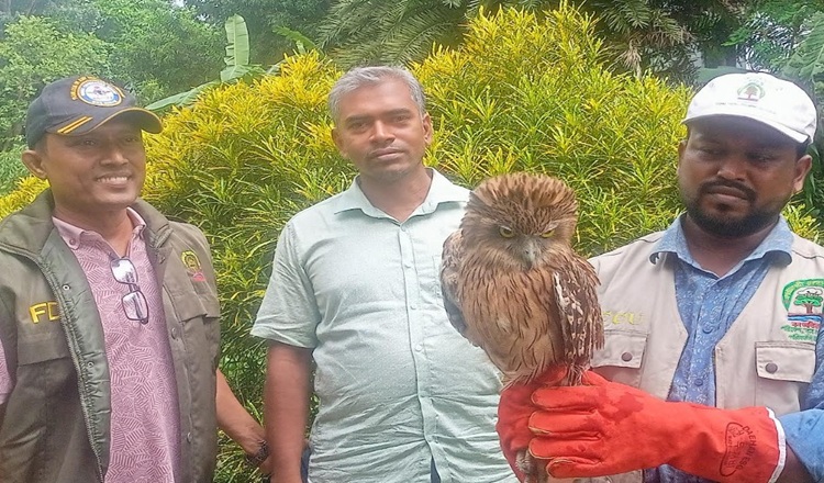 দামুড়হুদায় মেছো বিড়াল,বানর,  হুতুমপেচা জব্দ