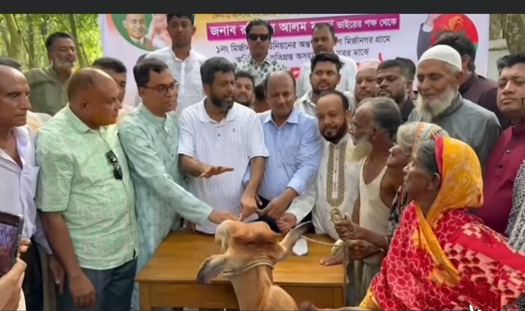 পরশুরামে অগ্নিকাণ্ডে ক্ষতিগ্রস্তদের গরু উপহার 