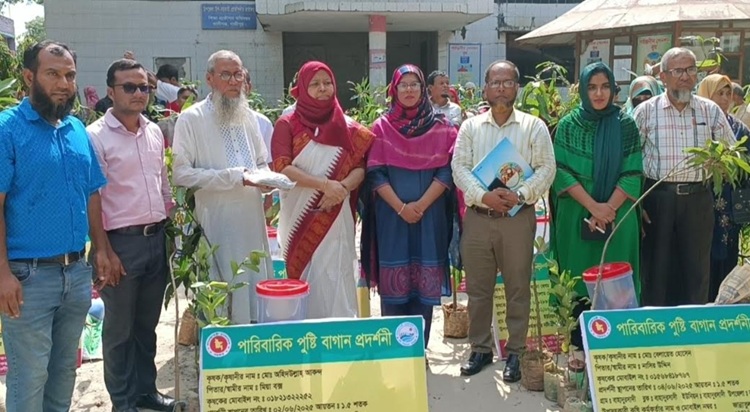 কালীগঞ্জে শেষ হলো কৃষকদের ২ দিনব্যাপী পুষ্টি বাগান প্রশিক্ষণ
