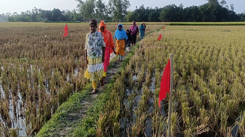 কুড়িগ্রামে আ’লীগ নেতার দখলে থাকা সড়ক উদ্ধার