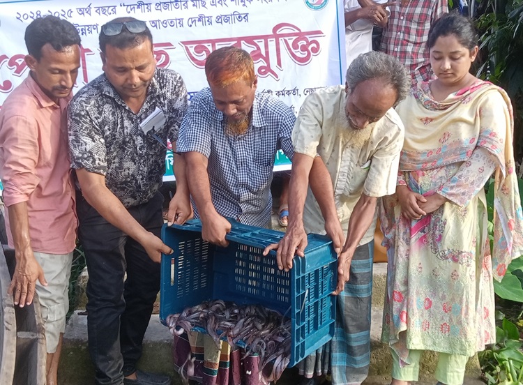 নেছারাবাদে ১৩৬ কেজি পোনা মাছ অবমুক্ত