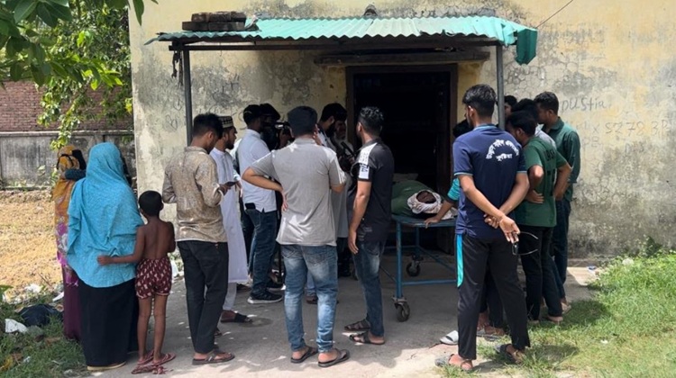 কুষ্টিয়ায় সাপের কামড়ে দুই কৃষকের মৃত্যু