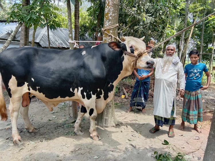 মান্দায় ঈদের হাট কাপাচ্ছে ‘নবাব’