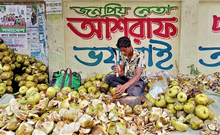 দুই টাকার তালের শাঁস টাঙ্গাইলের বাজারে ৩০ টাকায় বিক্রি!