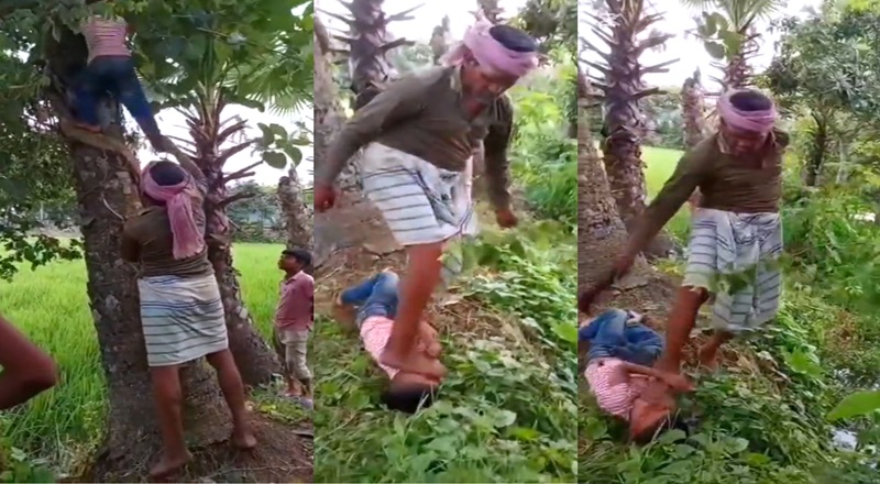 ‘তাল’ পাড়ার দায়ে শিশুকে নির্মম নির্যাতন