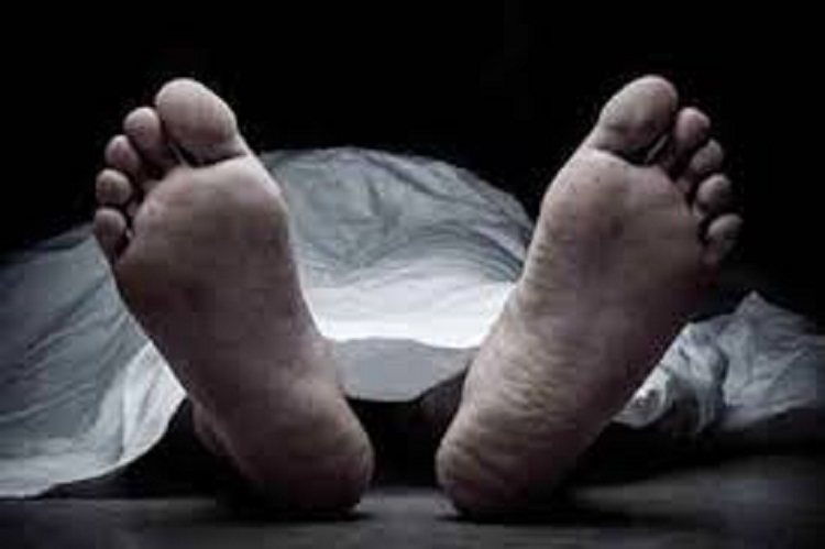 মুকসুদপুরে অটোভ্যান দুর্ঘটনায় এক নারীর মৃত্যু