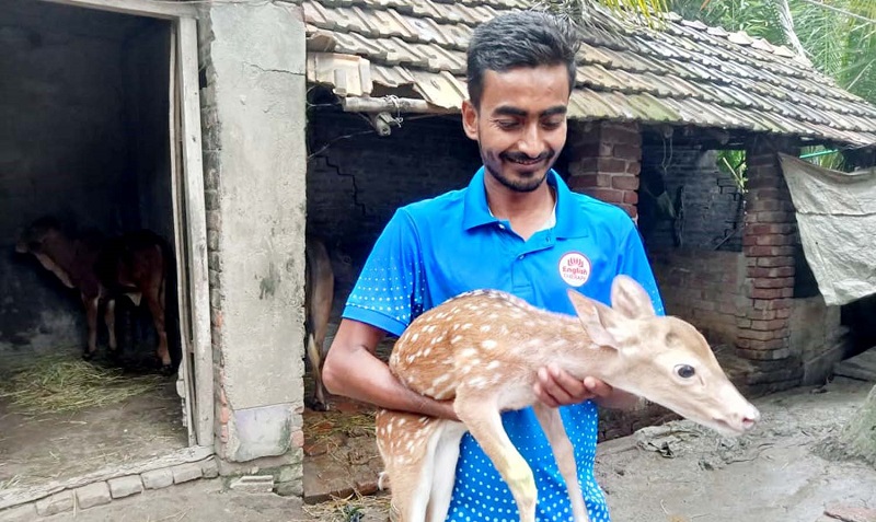 দুপচাঁচিয়ায় নাগরনদের বাঁধ থেকে হরিণ শাবক উদ্ধার