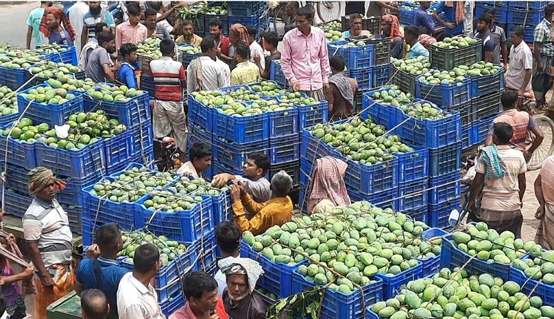 পুঠিয়ায় যানজট নিরসনে আমের হাট স্থানান্তর