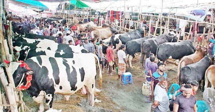 গরুর হাটে সান্ধ্যকালীন ব্যাংকিং চালুর নির্দেশ