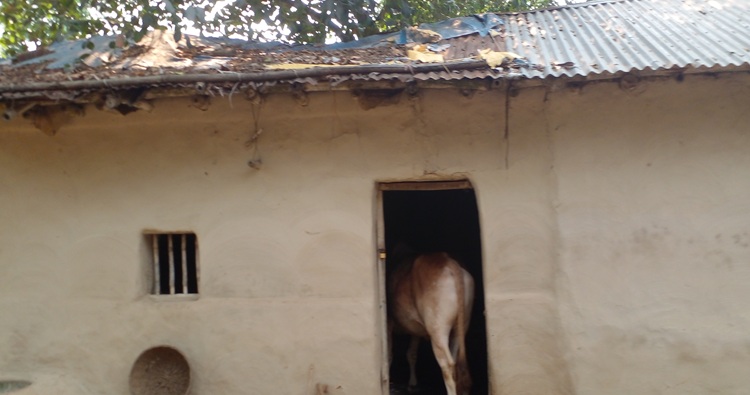 গাইবান্ধায় মাটির ঘর বিলুপ্তির পথে