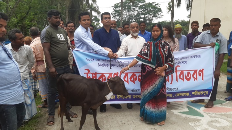 ভেদরগঞ্জে জেলেদের মধ্যে বকনা বাছুর বিতরণ