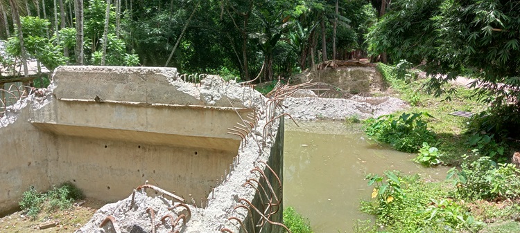 এগারো গ্রামের সেতু এখন দুর্দশার কারণ!